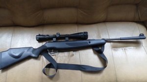 Мая первая пневматика. Stoeger x20