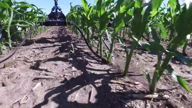 Put nitrogen where it counts смотреть онлайн