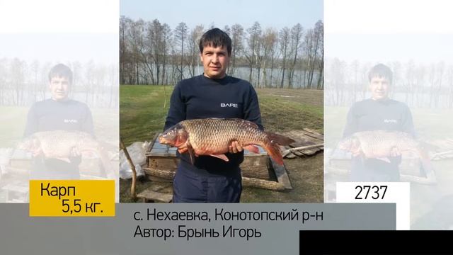 Фотоальбом - Рыбалка №547 смотреть онлайн