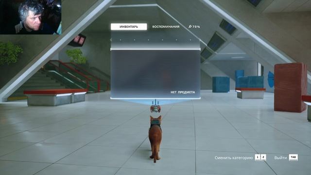 БОДУННОЕ УТРО!ПРОШЕЛ ИГРУ STRAY смотреть онлайн