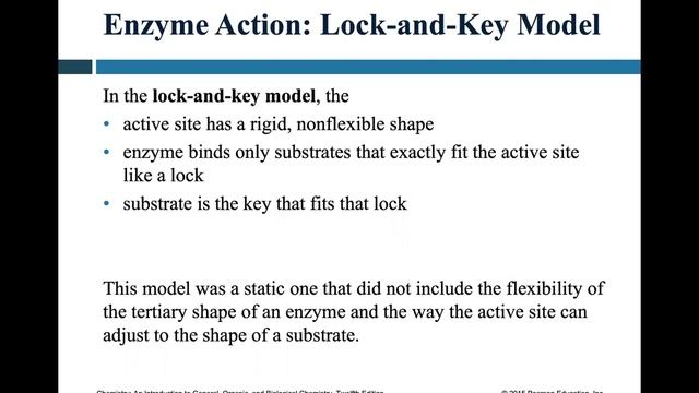CHEM 1109 - Enzymes смотреть онлайн