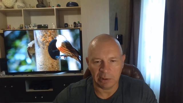 Разгон депозита смотреть онлайн