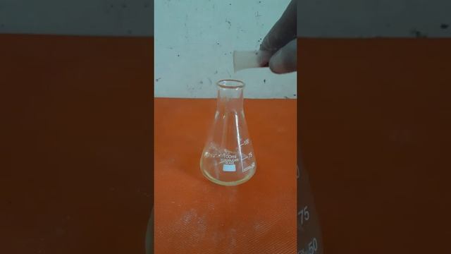 THE FOAMY.. смотреть онлайн