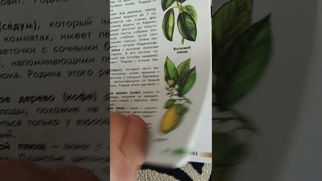 Атлас определитель 3 класс смотреть онлайн