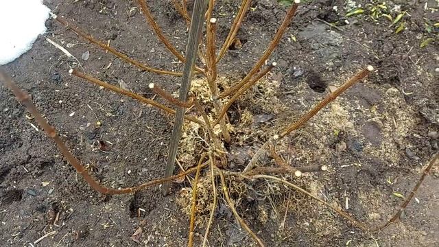 Потери за прошедшую зиму смотреть онлайн