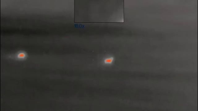 Pulsar Axion XM30S - Looking at distant animals смотреть онлайн