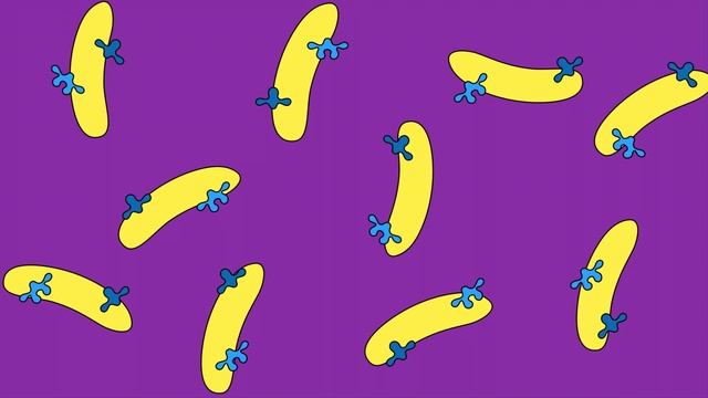 Exploring Bacteria’s Role in Weight Gain and Loss смотреть онлайн