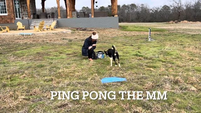 Lesson 1- banana line & ping pong MM смотреть онлайн