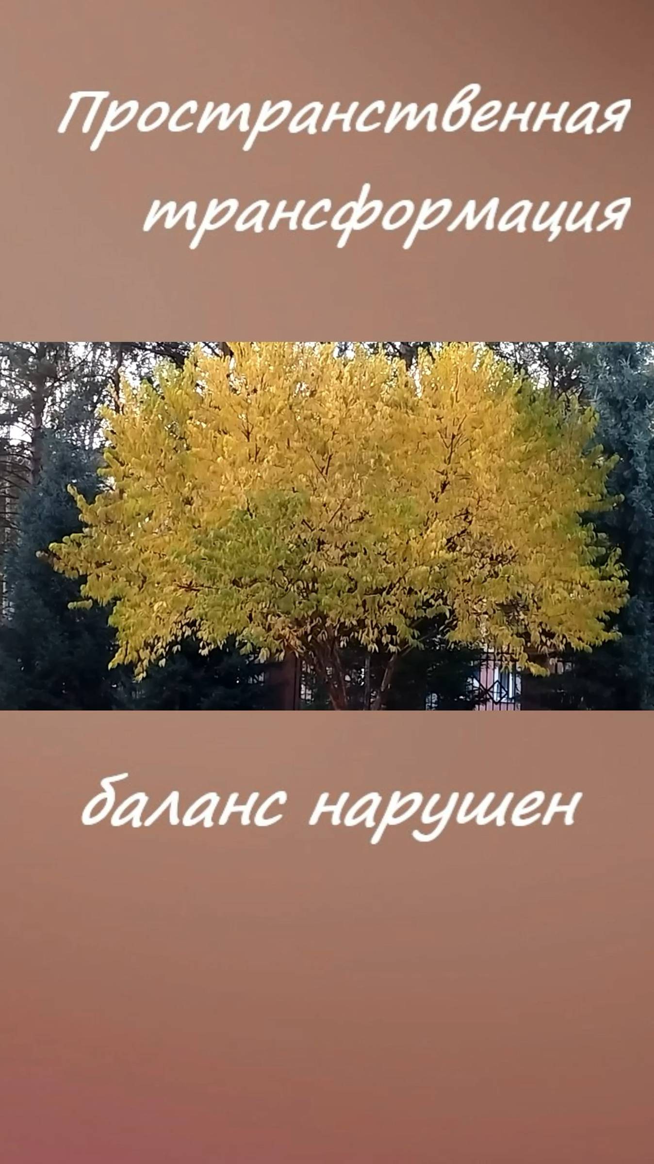 Время перемен для духовного поиска... #shorts смотреть онлайн