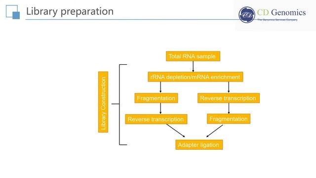 RNA Seq: Principle and Workflow of RNA Sequencing смотреть онлайн