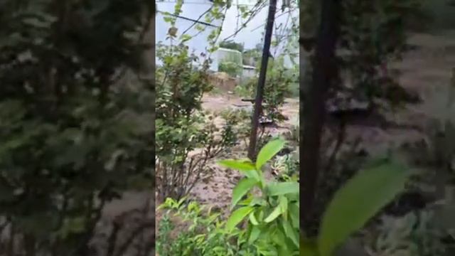 После селевого потока смотреть онлайн