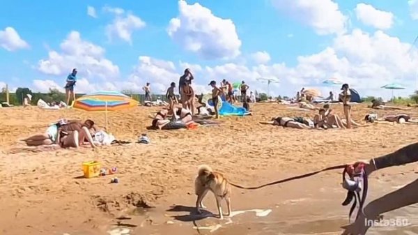 Пляж ПЕНЬКИ 2024♥️Отдыхаем, загораем🫠🤪Тафи впервые плавает🥹Влог