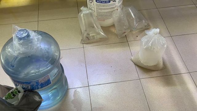 Se van peces al Mercado de peces mixuca / nos vemos en el live hoy 20.30 hrs cd mexico смотреть онлайн