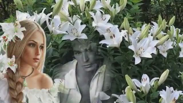 Белые Лилии...исп. Сергей Орлов смотреть онлайн