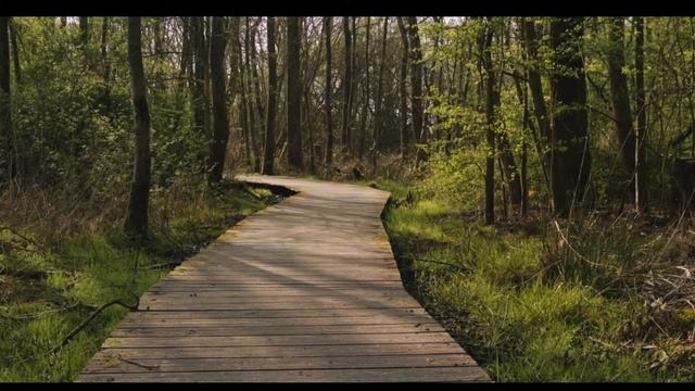 Fotografie vlog | Landschapsfotografie (drone & camera foto’s) | Zoetermeer смотреть онлайн