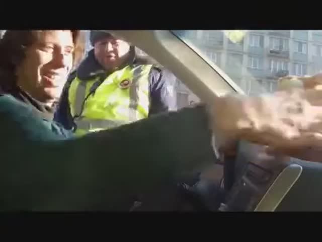 Хомяк и гаишник !