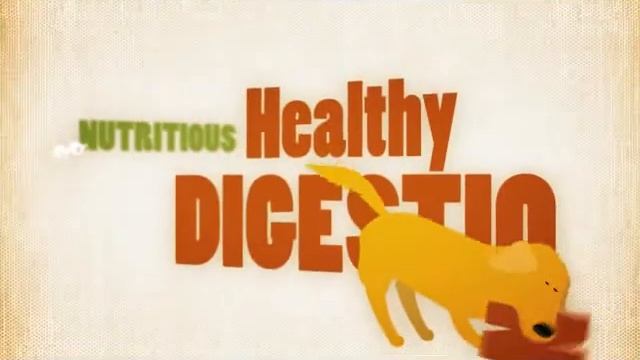 Healthy Digestion & Holistic Health for Dogs and Cats смотреть онлайн