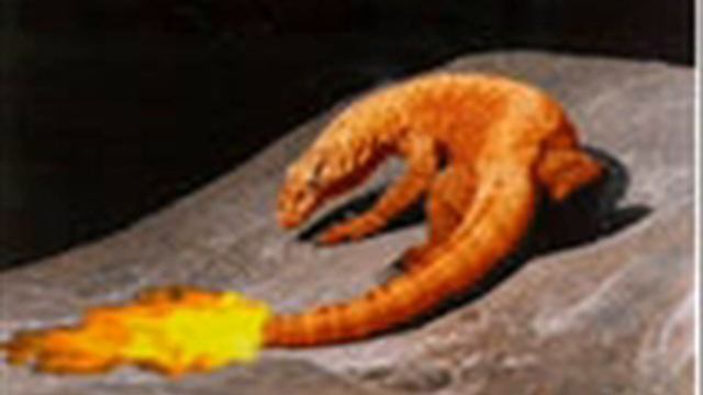 real pokemon! That cant be true! смотреть онлайн