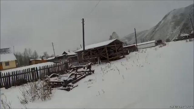 Соседский Кот смотреть онлайн