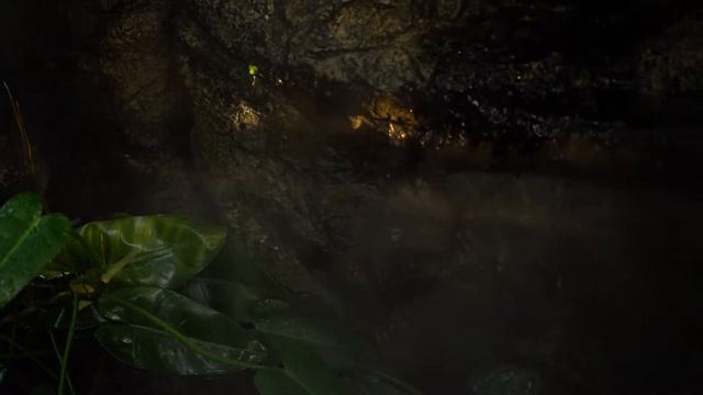 2018.11.10 Spraying Water in United States Botanic Garden смотреть онлайн