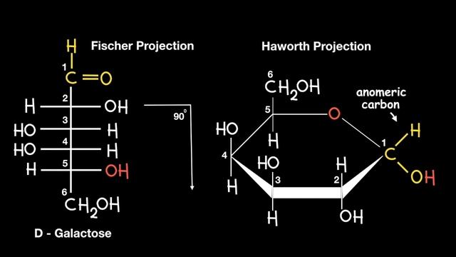 Fischer to Haworth Projection смотреть онлайн