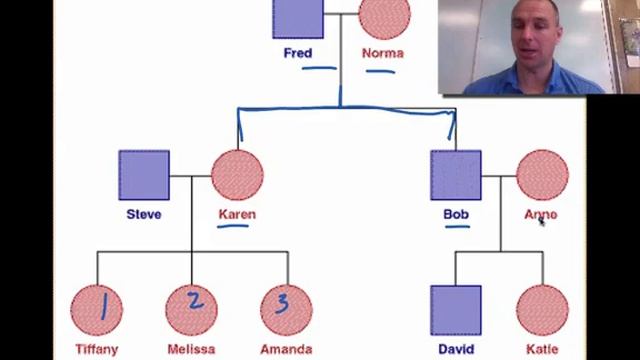 Heredity & Blood Types Video 14 смотреть онлайн