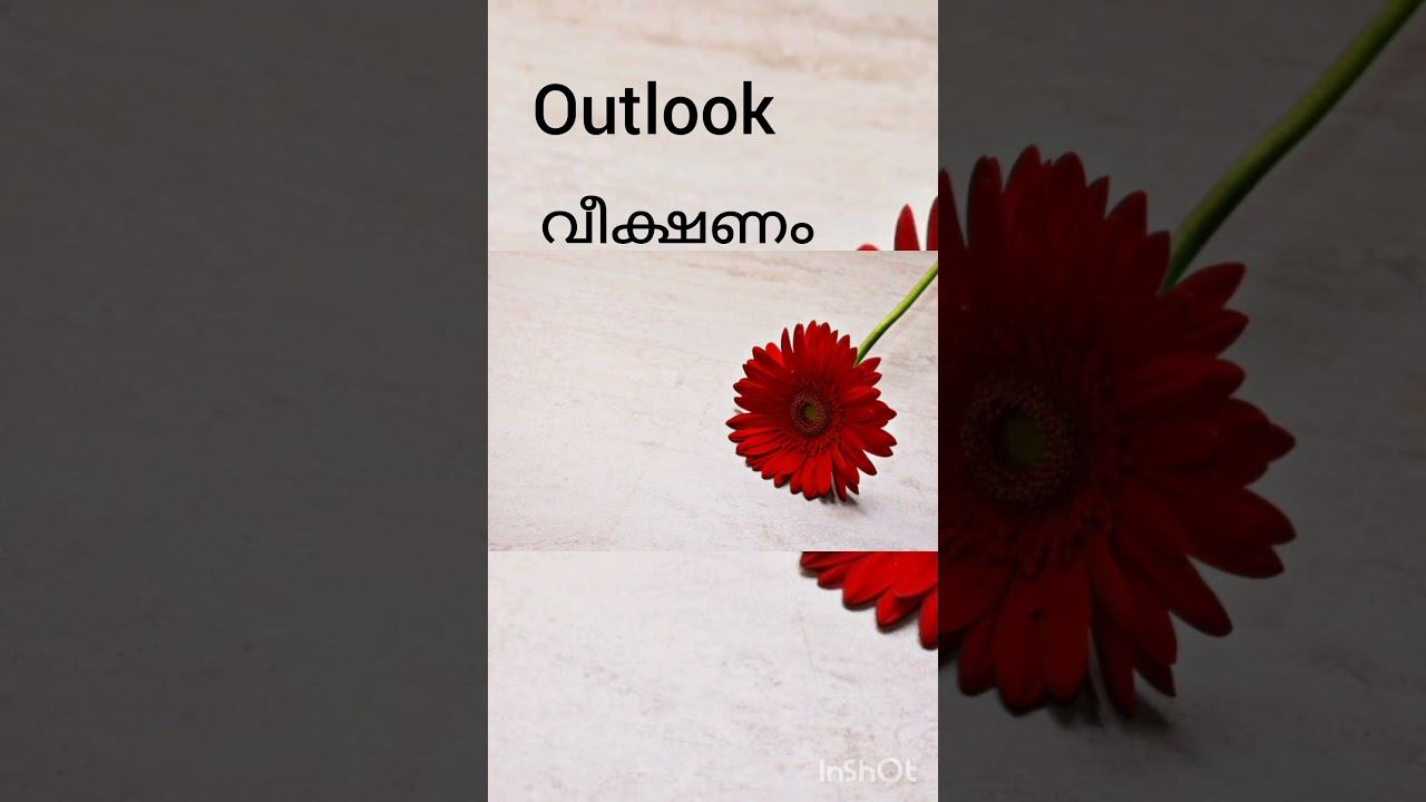 vocabulary смотреть онлайн