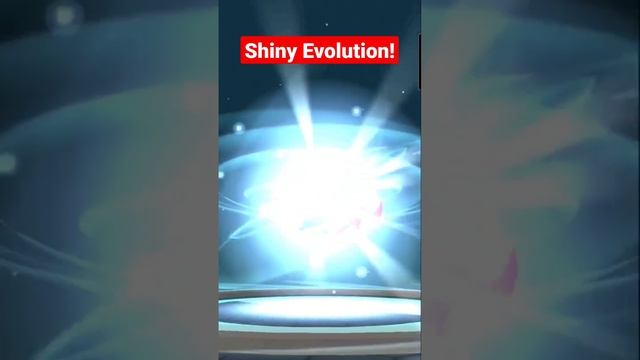 Zigzagoon Shiny Evolution смотреть онлайн
