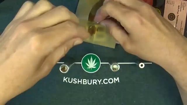 The GIG review смотреть онлайн