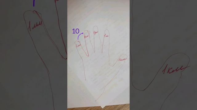 Математический свет