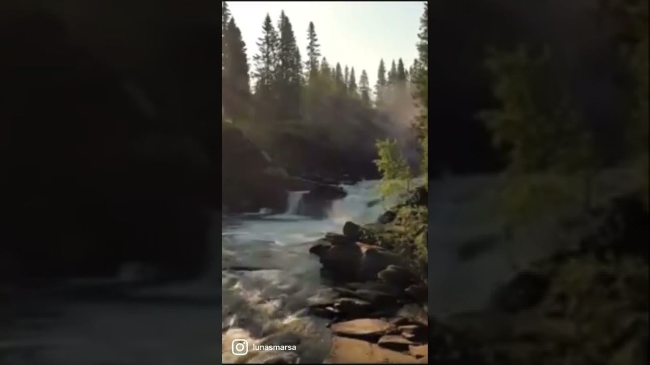 Через сутки измерила талию, -2см #чистка #чисткаорганизма #голодание #психология #психосоматика #ед смотреть онлайн