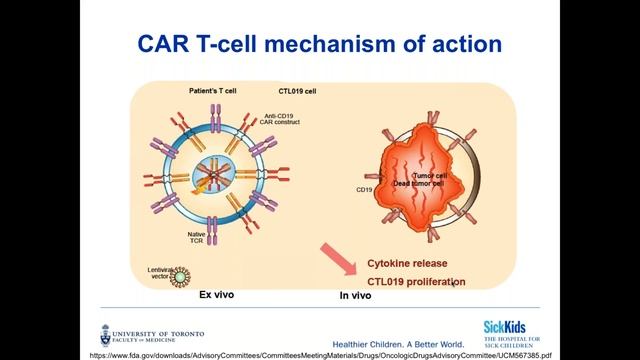 WEBINAR: CAR T Cell Therapy смотреть онлайн