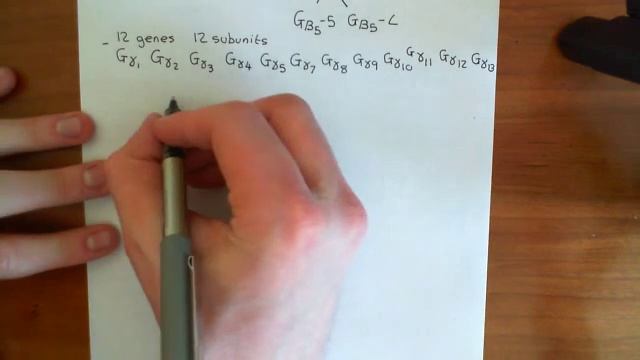 The Serotonin / 5-Hydroxytryptamine Receptors Part 4 смотреть онлайн