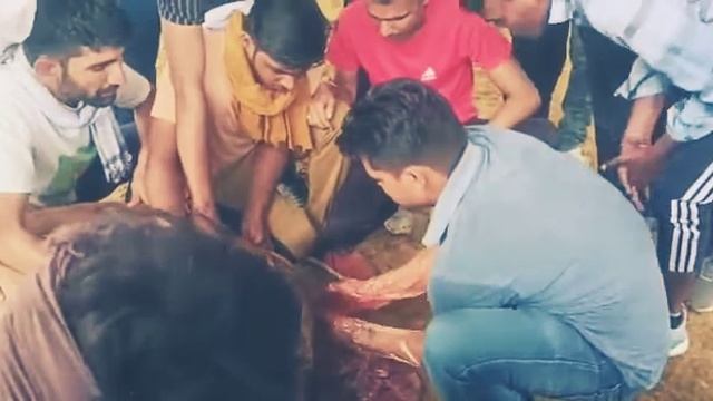Placenta: 1 1/2 pounds with dr.jitendra singhal смотреть онлайн