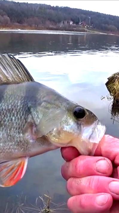 ПОЙМАЛ НА ЖИВЦА. смотреть онлайн