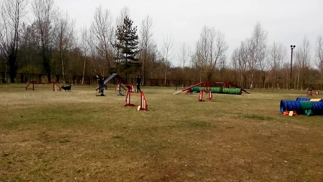 Маша и Гатти смотреть онлайн