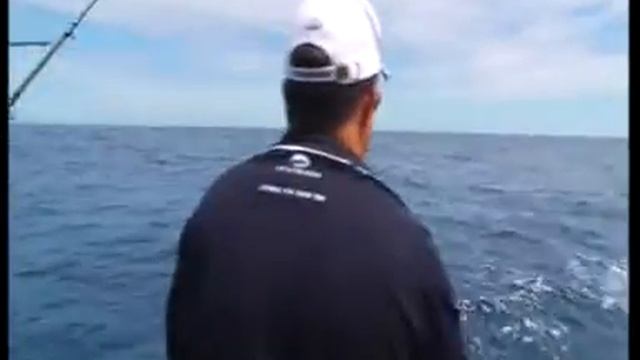 Signature 675F catching Marlin at the Little ship club tournament смотреть онлайн