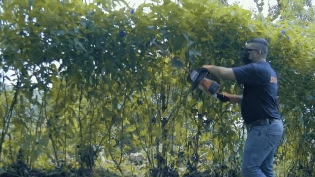 STIHL El Salvador 40años смотреть онлайн