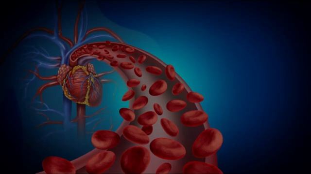Potential of Germanium-Titanium-π Polymer Composites as Functional Textiles in Improving смотреть онлайн