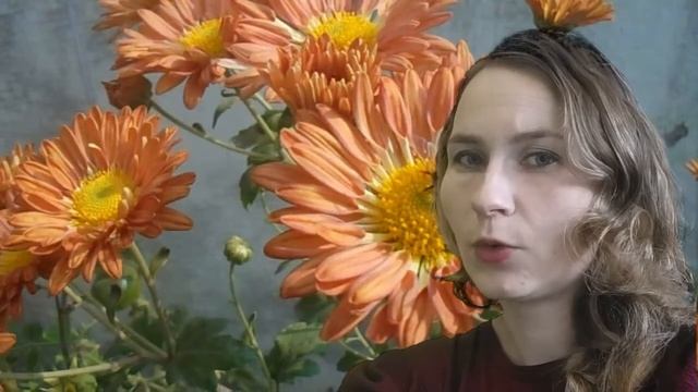 Експерименти тижня. Тиждень 4. Блок "Біологія". Відповідь на завдання "Бджолиний секрет" смотреть онлайн