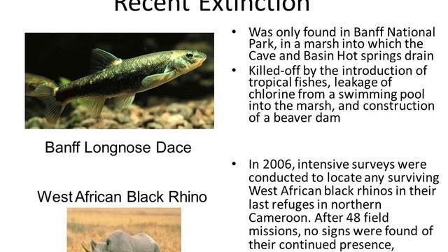 Week4ConservationBiologyLecture смотреть онлайн