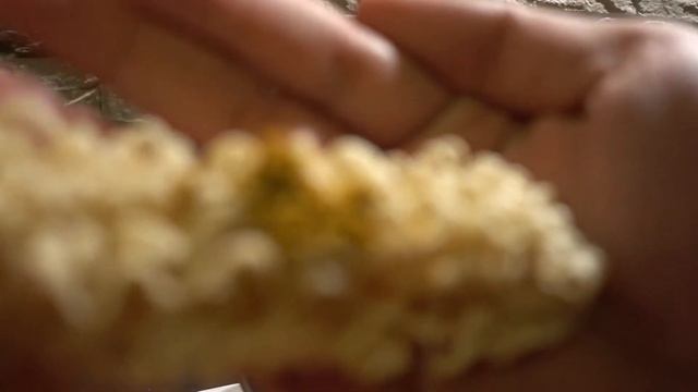 Unboxing Soup Noodles Golden Broth with Lovage (No Talking) смотреть онлайн
