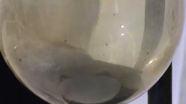 Химия - Получение Хлора / Chemistry - Production of Chlorine смотреть онлайн