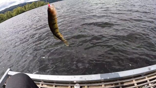 Spring crappie fishing in west WA | How to fish for crappie at fishing dock or boat launch смотреть онлайн