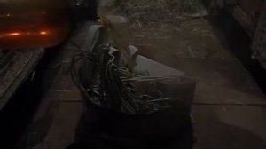 Дезинфекция крольчатника йодом однохлористым