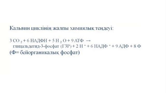 Биология №8, 1 четверть смотреть онлайн
