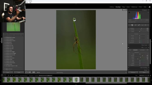 How I edit macro photos like a PRO (Lightroom & focus stacking tutorial) смотреть онлайн
