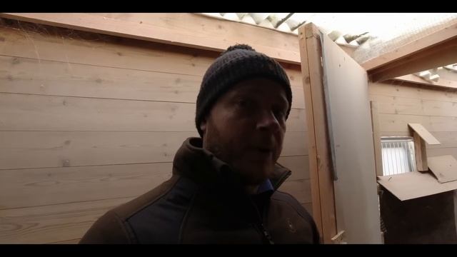 Find A Good Pigeon. Buy A Good Pigeon.