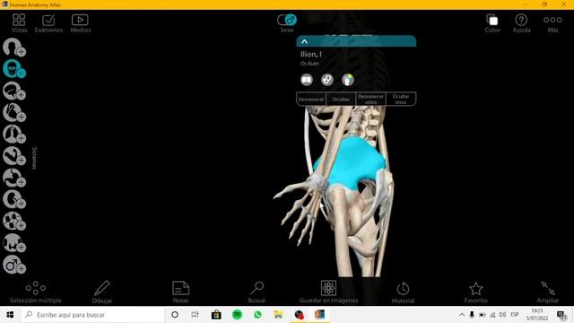 Anatomía y Fisiología APK pc (GRATIS) ✅✅ смотреть онлайн
