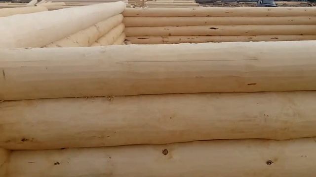 Производство сруба 7 на 7 в чашу с рубленной верандой смотреть онлайн